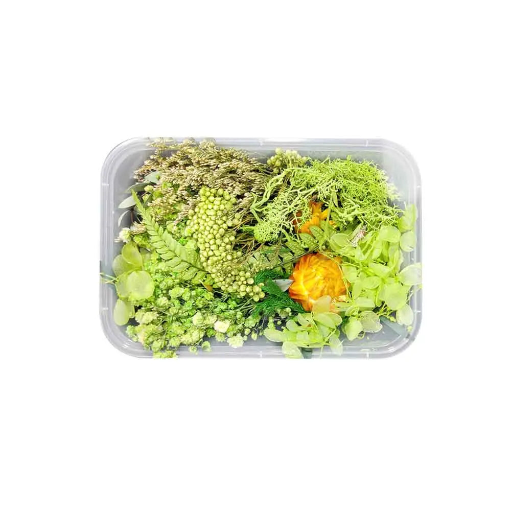 Canvazo Dried Flowers For Resin Art - ( Choose Colours ) Canvazo